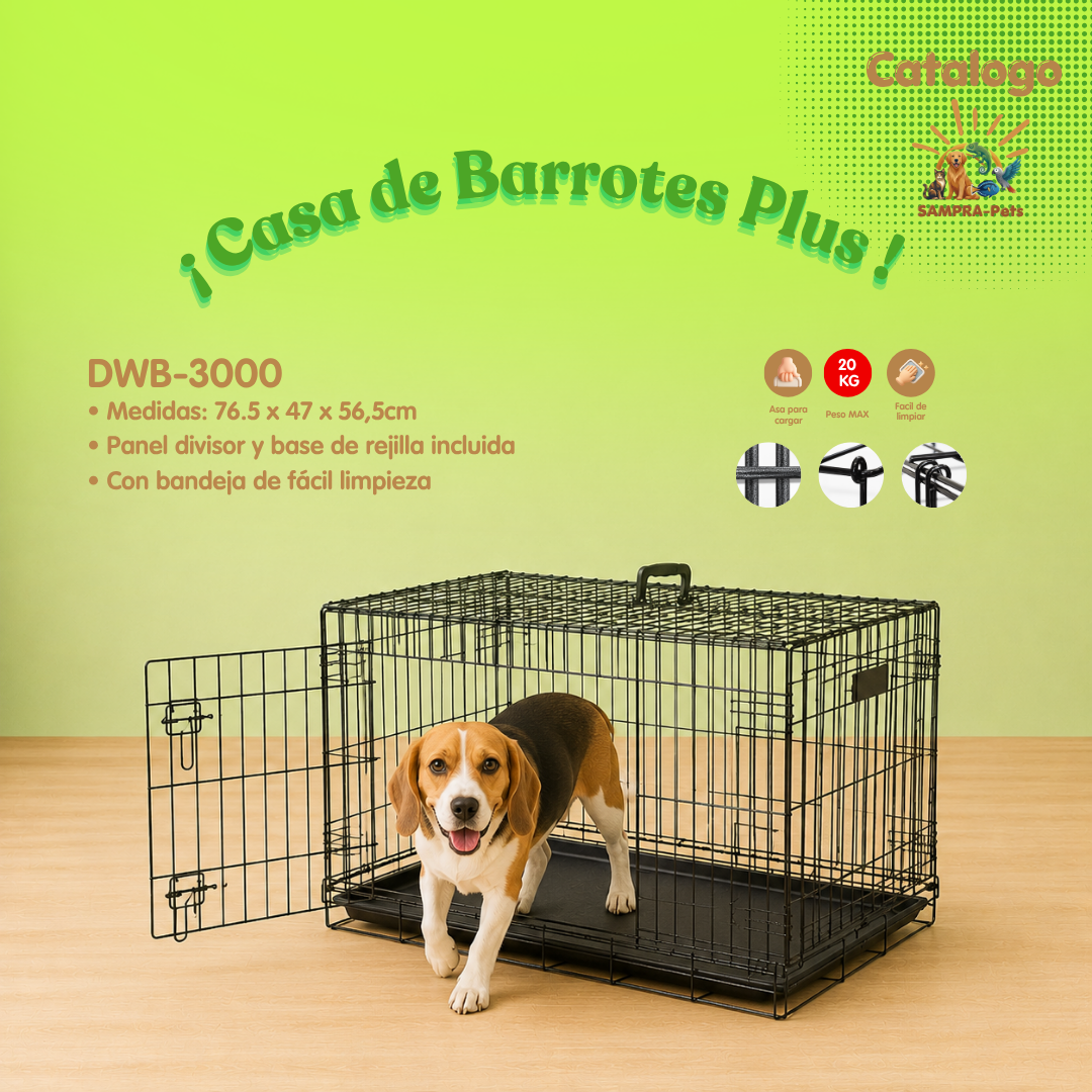 ¡Casas Guardianas!
