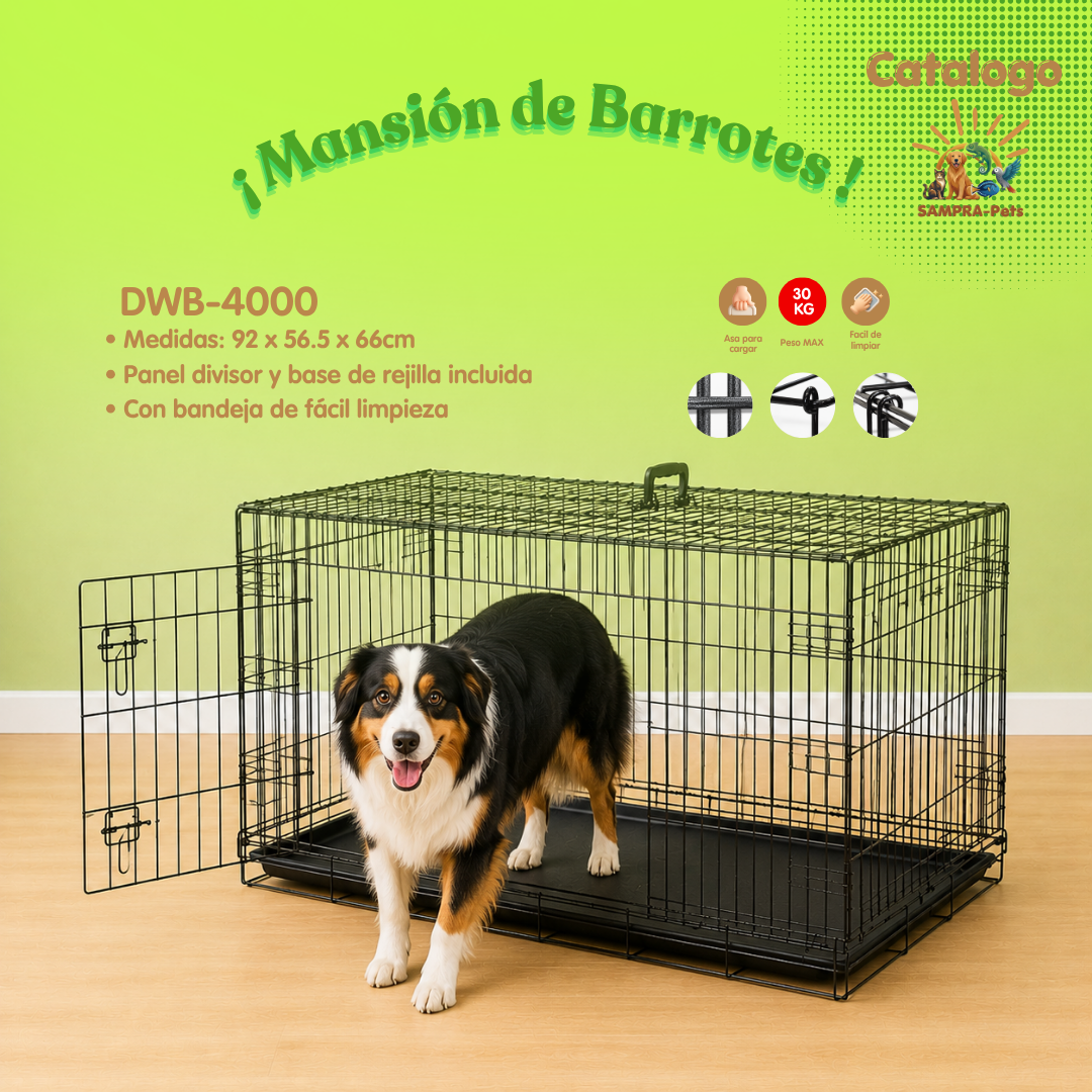 ¡Casas Guardianas!