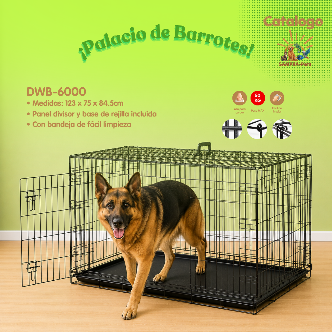 ¡Casas Guardianas!