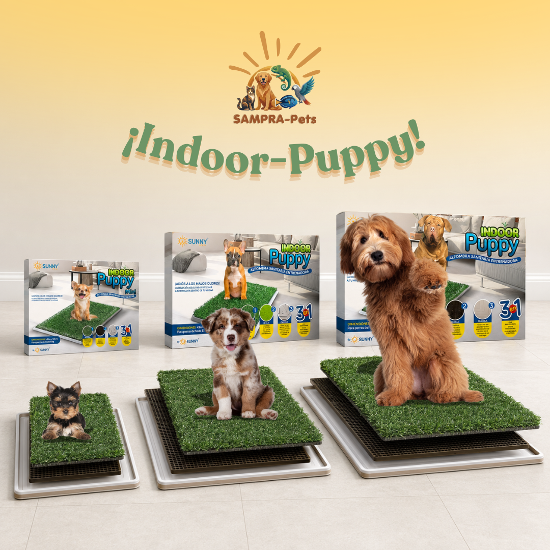 ¡Indoor-Puppy!